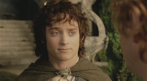 does frodo die in the books but what if he did?