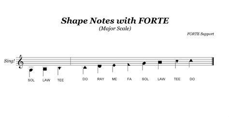 what does a flat look like in music? the shape of notes on the staff